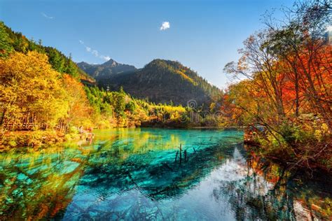Amazing View Of The Five Flower Lake With Azure Water Stock Image