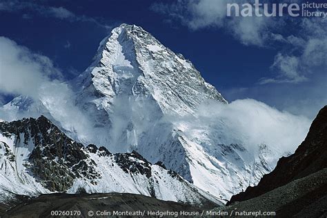 Stock Photo Of The North Face Of K2 As Seen From K2 Glacier Second