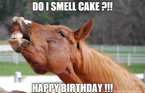 Happy Birthday Meme Horse Happy Birthday Horse Happy Birthday Funny