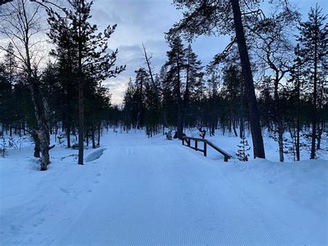 Urho Kekkonen National Park Saariselka Aggiornato 2020 Tutto