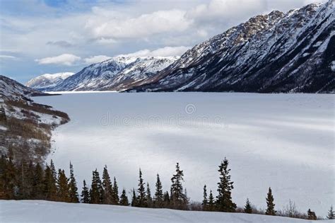 Tagish Lake Bove Island Yukon British Columbia Stock Photo Image