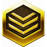 Starcraft Gold Icon League Deviantart Favourites Email