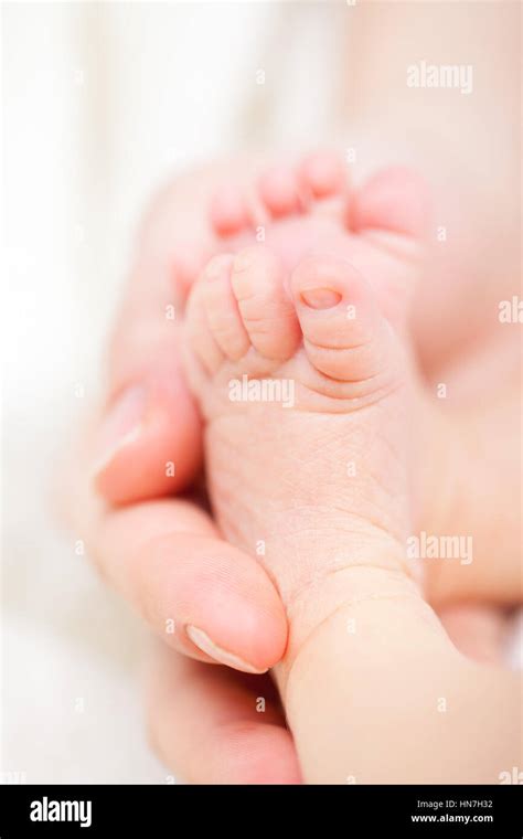 Mother Holding Her Newborn Babys Feet Stock Photo Alamy