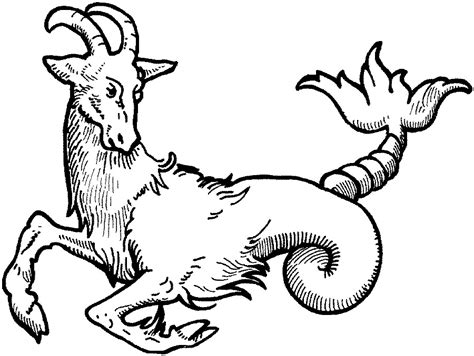 The Capricorn Goat Sea Goat Of Myth