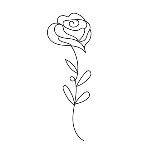 Rose Line Art Vector Cute Rose Rose Liner Flower Png And Vector With