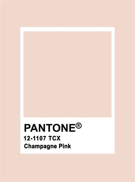 Champagne Pink Pantone Blush Color Palette Color Palette Pink