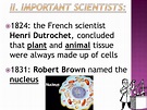 cell theory project timeline | Timetoast timelines