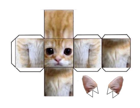 Munchkinel Gato Cube Бумажные животные 3d искусство на бумаге