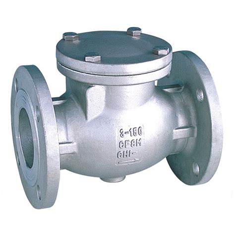 Swing Check Valve 316 Stainless Steel Pn16 Flanged Welcome To