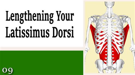 09 Lengthening Your Latissimus Dorsi Learning To Control Your Arms