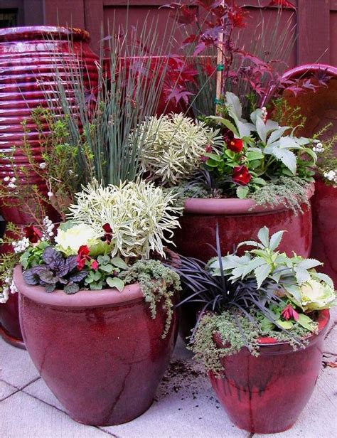 Best 10 Winter Container Gardening Ideas On Pinterest Winter Planter