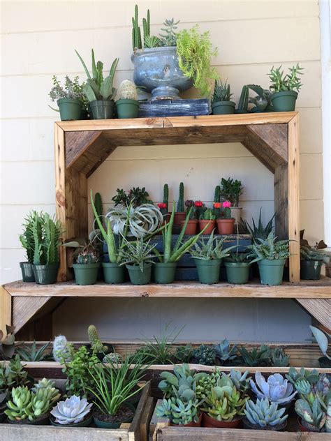 East coast soccer league provides opportunities for soccer players to compete with others with similar skills and desires. Succulents ! | display @ East End Market -Orlando | photo ...