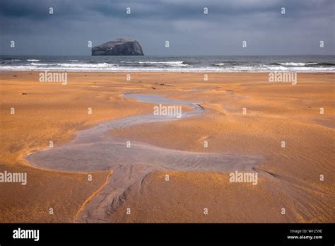 Bass Rock And Seacliff Beach North Berwick Scotland Stock Photo Alamy