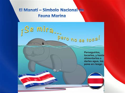 A Book With An Image Of A Manant In The Water And A Flag Behind It