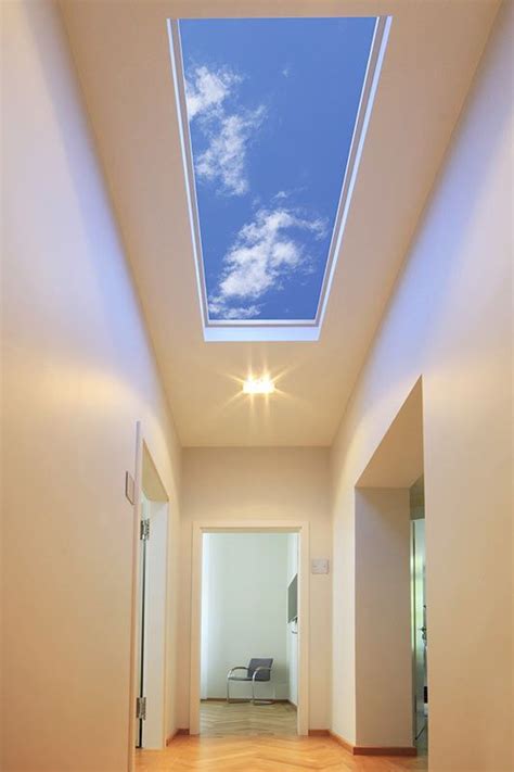 Sky Ceiling Ceiling Murals Home Ceiling Interior Spaces Home