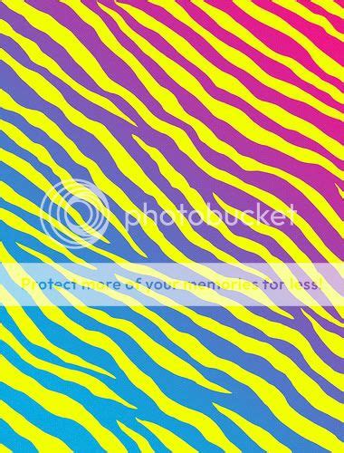 Colorful Zebra Print Photo By Socalgal082290 Photobucket
