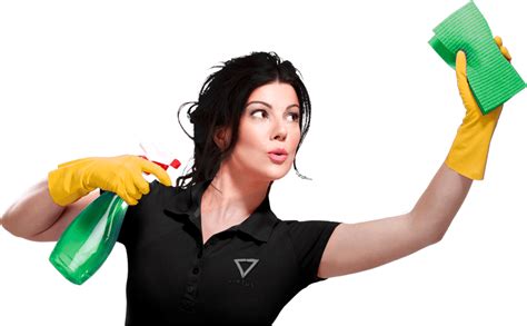 Cleaning Lady Png Png Image Collection
