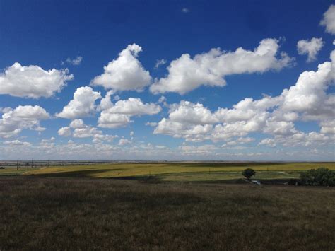 Peaceful Prairie SanctuaryVEGAN MOS