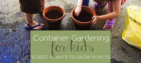 Container Gardening With Kids Five Spot Green Living