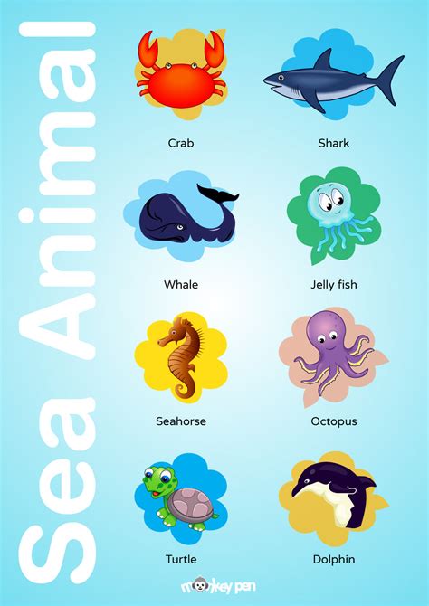 Top 197 Sea Animals Chart For Kids