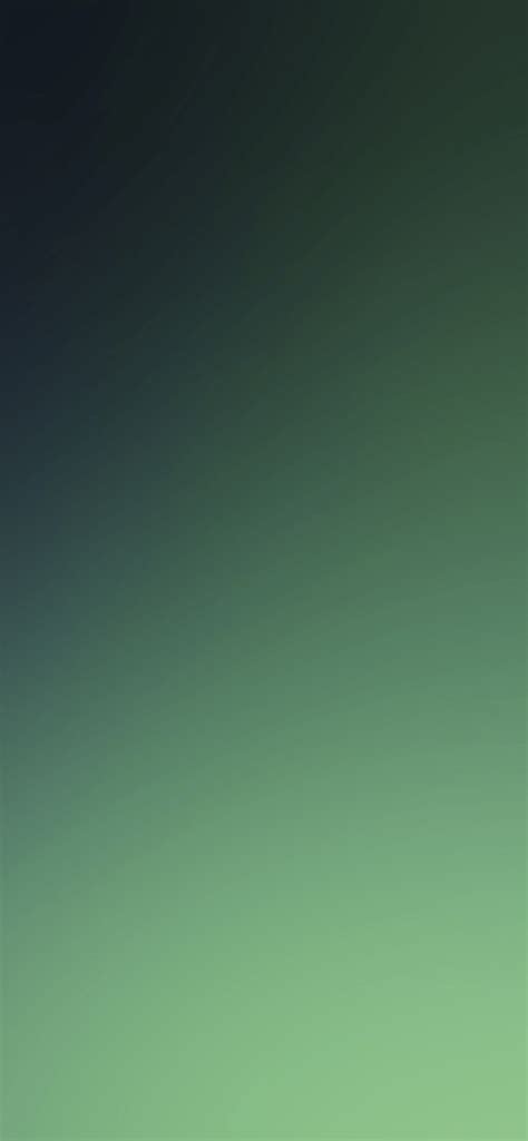 Green Wallpaper For Iphone 11 Pro Max X 8 7 6 Free Download On