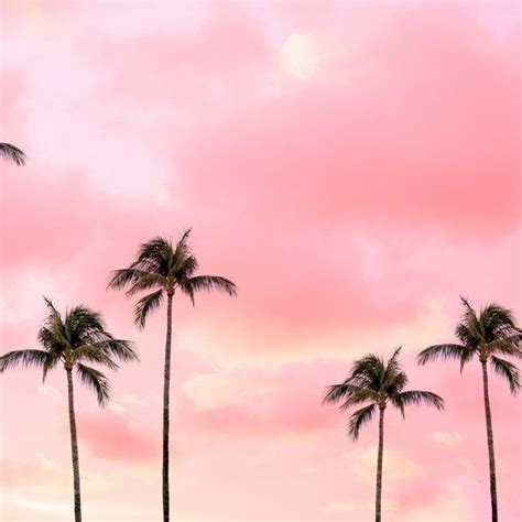 Pink Wallpaper Girly Beach Wallpaper Pink Wallpaper Iphone Summer