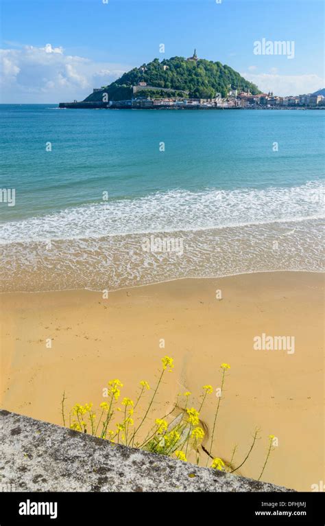 Spring Flowers Above Playa De La Concha With Views Towards Monte Urgull