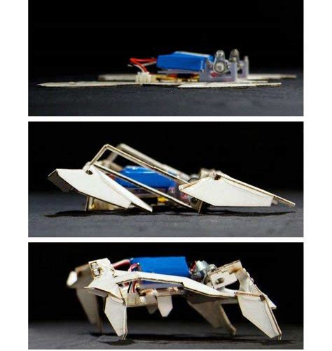 These Origami Robots Can Assemble Themselves And Walk Away