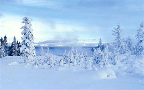 Hd Wallpaper Cool Winter Snow Scene 33 1280x800 Wallpaper Download