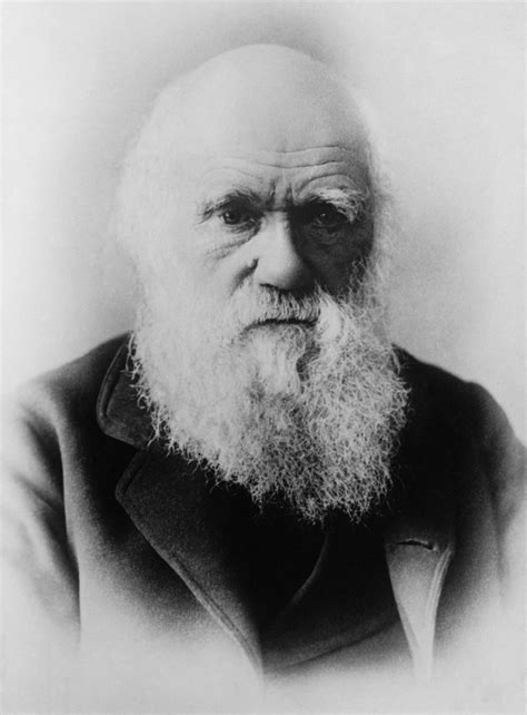 10 Interesting Facts About Charles Darwin Historycolored