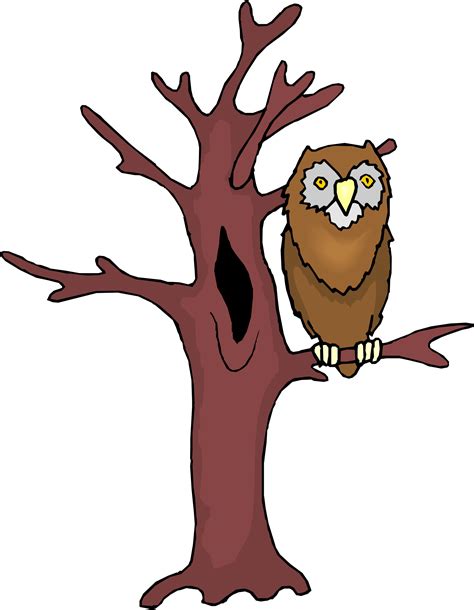 Owls Cartoon Trees Clipart Best