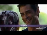 Amando Leah (Loving Leah) 2009 - Trailer original - Filme na Descrição ...