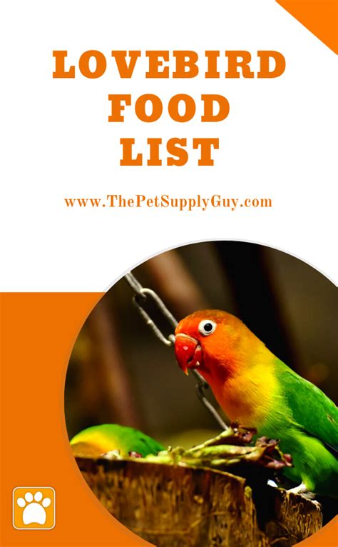Lovebirds not only can eat oranges but benefit from them too! Pin on Pet Bird Supplies & Bird Care Tips