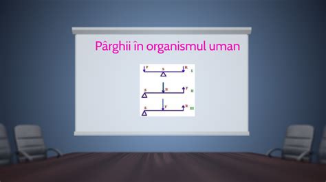 Pârghii In Organismul Uman By Titian Lucian On Prezi