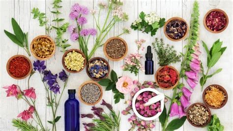 Best Essential Oils That Can Help Relieve Anxiety Bodysoul