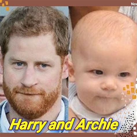 Kate And Harry Prince Harry And Megan Prince Andrew Harry And Meghan