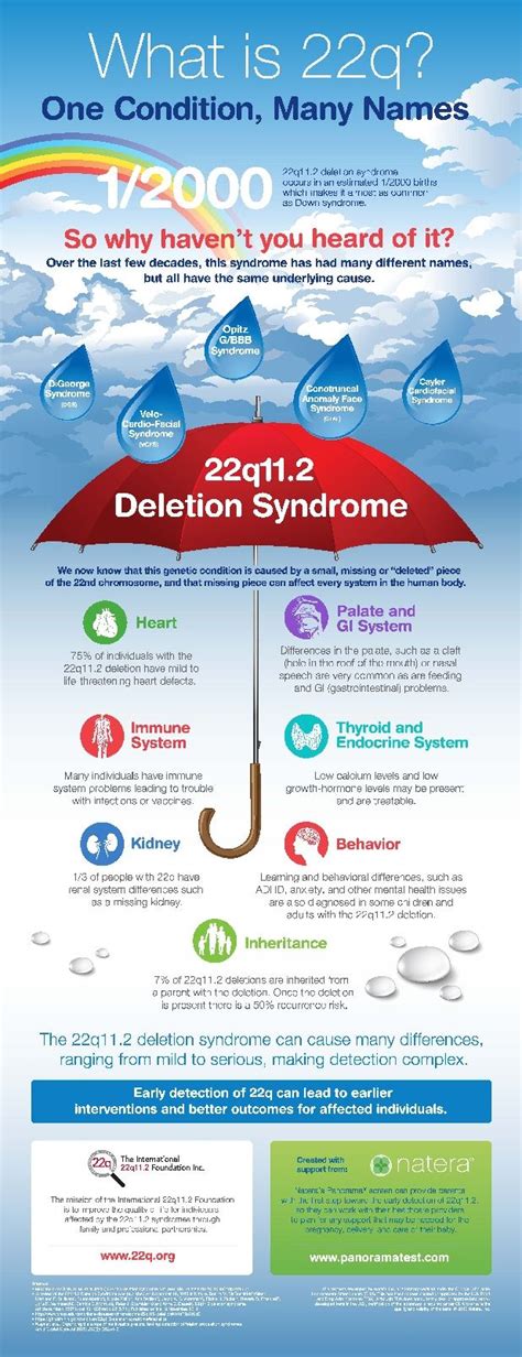 Digeorge syndrome, or chromosome 22q11.2 deletion syndrome, is a disorder affecting multiple organ systems. 22q11.2 deletion syndrome is thought to be almost as ...