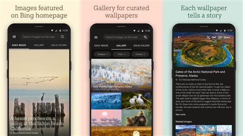 How To Set Bing Daily Photos As Wallpaper On Your Android Smartphone