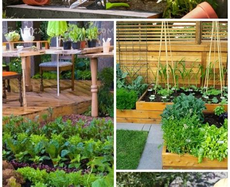 Vegetable Garden Top 10 Tips On Starting Your Own 2018 Update