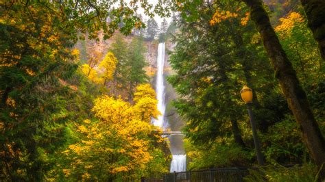 Multnomah Waterfalls Oregon Tree During Fall 4k 8k Hd Nature Wallpapers