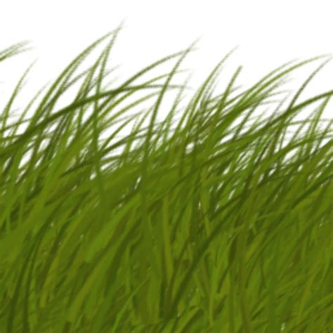 Download High Quality Grass Transparent Seamless Transparent Png Images