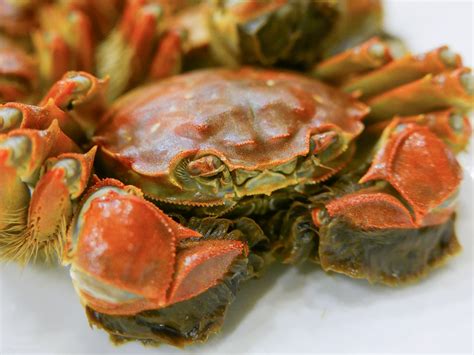 The That S Guide To Gorging On Shanghai Hairy Crab That’s Shanghai