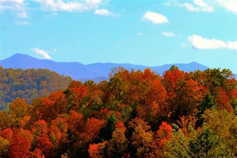 Mountain Fall Foliage Wallpapers Top Free Mountain Fall Foliage