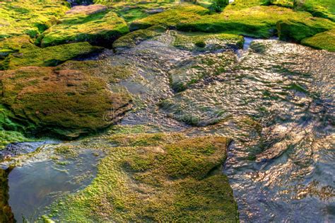 Mossy Boulders Water Texture Photos Free And Royalty Free Stock Photos