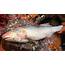 2 Big Rawas Fish Cutting & Chopping By Fishmonger At Market 