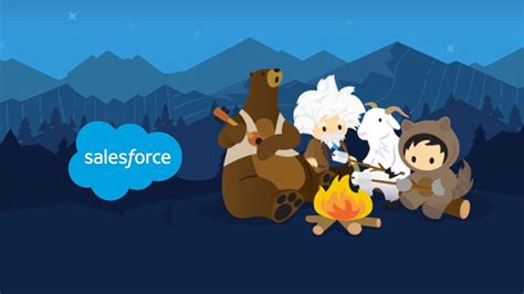 Ci And Delivery Using Salesforce Developer Experience Avenga