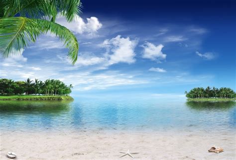 Buy Laeacco Seaside Islands Beach Shell