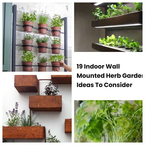 19 Indoor Wall Mounted Herb Garden Ideas To Consider Sharonsable
