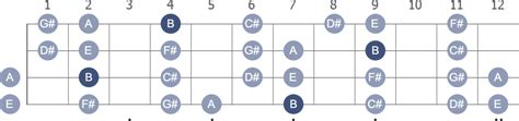 B Mixolydian Bass Guitar Scale