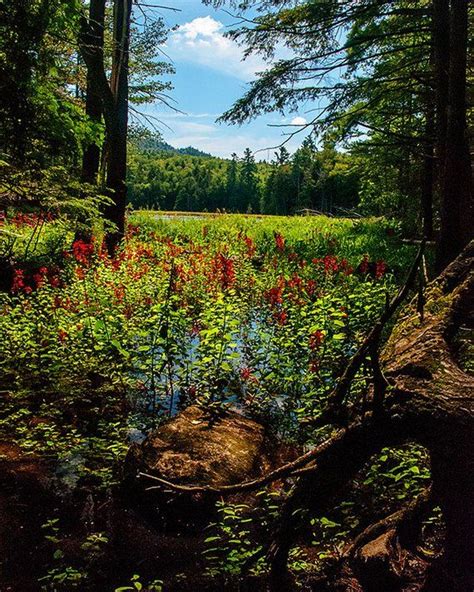 Adirondack Landscape Photograph Adirondack Photography Nature